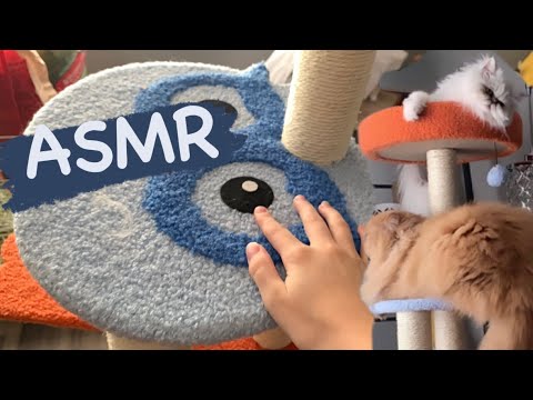 ASMR Visual Triggers + Scratching, Tapping🐱
