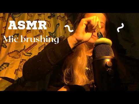 ASMR mic brushing with 10 different brushes !!