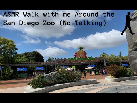 ASMR Outdoor Walk with Me Around The San Diego Zoo (No Talking)