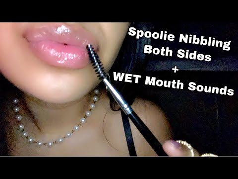 ASMR~   SPECIAL ANNOUNCEMENT+ Spoolie Nibbling Wet Mouth Sounds (Starting My Own Lipgloss Business?)