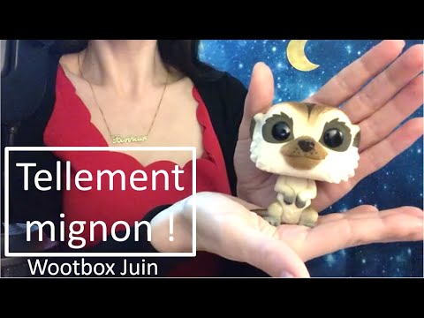 ASMR - Juste parfaite cette Wootbox de Juin ! * unboxing