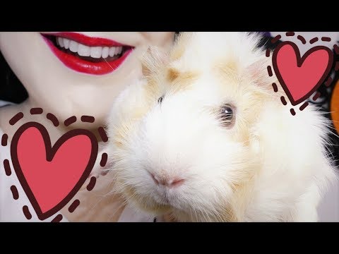 ♡ASMR Caring Friend Role play - Pet Therapy Whispering & Christmas Crafting ♡
