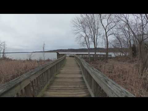 ASMR Hiking Over a Marsh and Creaking Bridge (Part 2)
