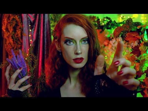 ASMR 🍃 Poison Ivy Is Captivated by YOU 🌹 (Compliments, Affection, Personal Attention)