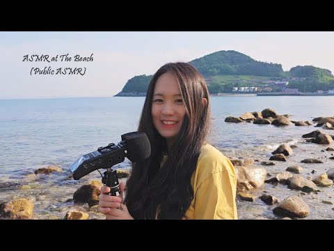 ASMR at The Beach | Public ASMR, Blowing, Tapping, Waves Sounds (Eng Sub)