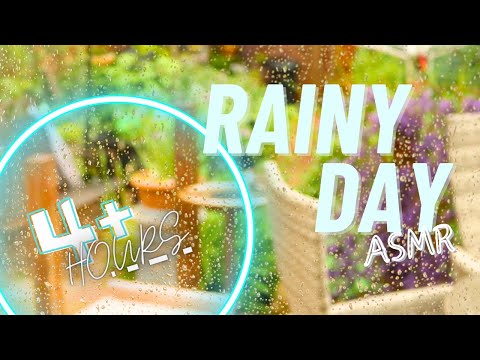 ASMR 4+ Hours Rain Sounds For Sleep, Relaxation & Insomnia / A Rainy Day In England