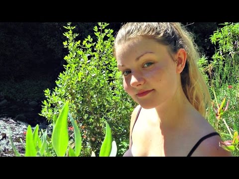 ASMR Soul Reflection In Nature
