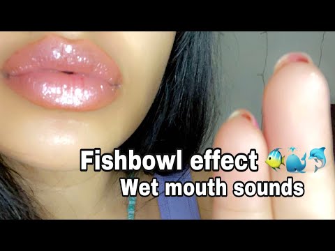 ASMR~ Fishbowl Effect 🐠 w/ Wet Mouth Sounds  + Inaudible Whispers
