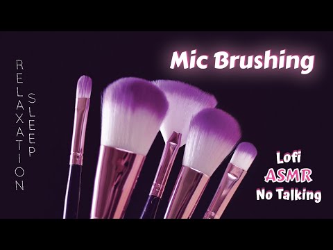 Cosy Old School ASMR | Mic Brushing with makeup brushes | Sleep inducing No Talking (Lofi)