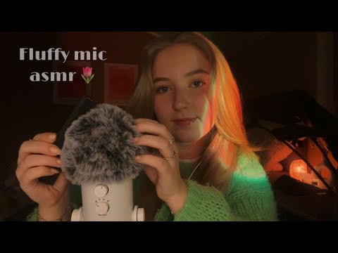 Fluffy mic scratching 🌟 Searching for bugs, brushing and combing the mic
