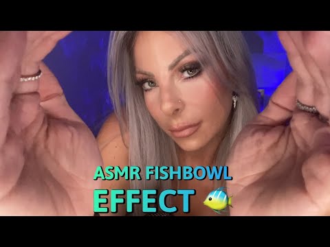 ASMR Fishbowl Effect For Sleep & Tingles 🐠 Close Whispering