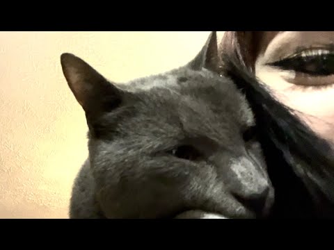 ASMR lofi- hanging out with a kitty🐈‍⬛