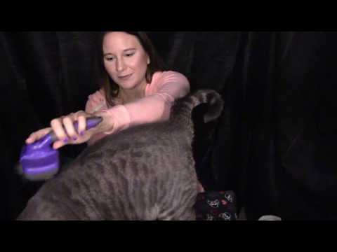 😻 ASMR 😻 Purring ~ Brushing My Kitty Cat ~ No Talking  ~ Ear to Ear ~ Triggers Galore