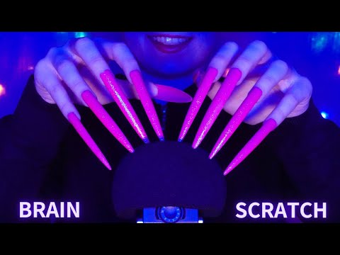 ASMR Mic Scratching - Brain Scratching with CLAWS! 😮| No Talking for Sleep 😴 1 HOUR - 4K