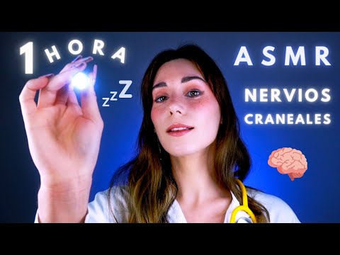ASMR 1 HORA de exámenes de NERVIOS CRANEALES 👩‍⚕️💤 (Sin Interrupciones) Roleplay MÉDICO en ESPAÑOL