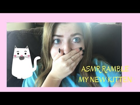 ASMR RAMBLE: ALL ABOUT MY NEW KITTEN!!!