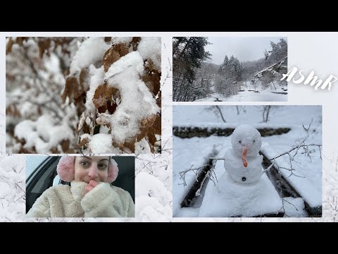 ASMR| Winter Adventures ❄️☃️ Winter Forest Walk with Whispering
