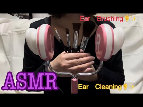 【ASMR】あなたの耳をブラシでおそうじ🧹🧹！！Ear Brushing＆Cleaning👂✨