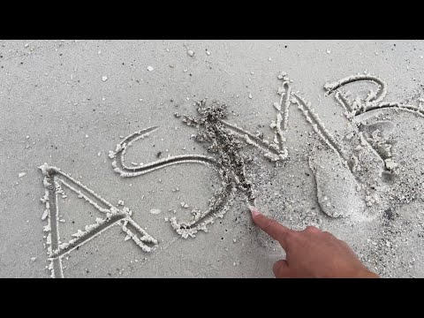ASMR in Public on the Beach 🏖