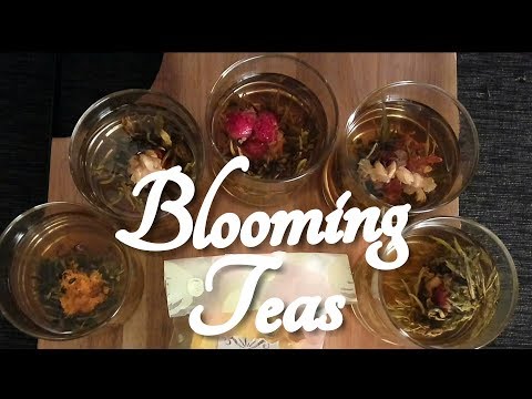 ASMR Blooming Tea Sales Consultation Role Play   ☀365 Days of ASMR☀