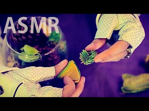 [ASMR] Hard SCRATCHING Dry Vegetation - NO TALKING