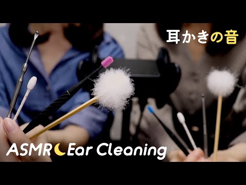 [Hatomugi×Karin ASMR Collaboration] Ear Cleaning 👂 No Talking