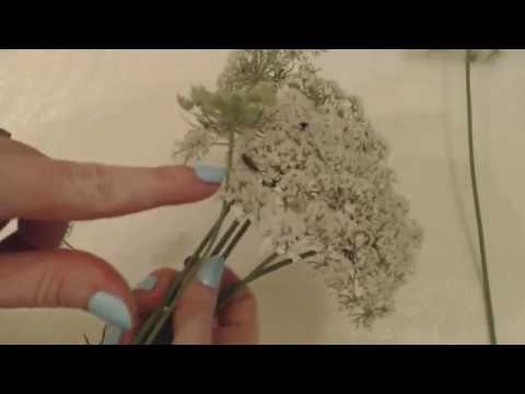 ASMR Whisper Video ~~ Show & Tell With Queen Anne's Lace/Wildflowers ~ Southern Accent