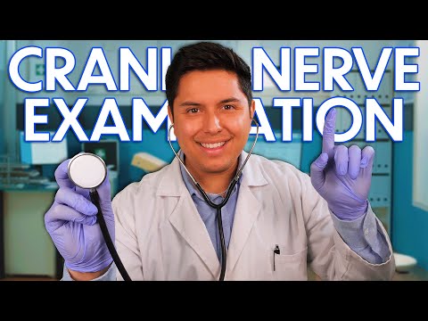 ASMR | A Simple but Effective Cranial Nerve Exam | Doctor Roleplay