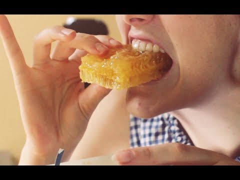 Honeycomb Eating and Coughing