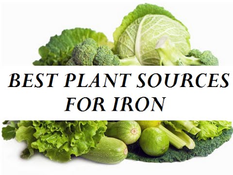 THE BEST PLANT SOURCES FOR IRON