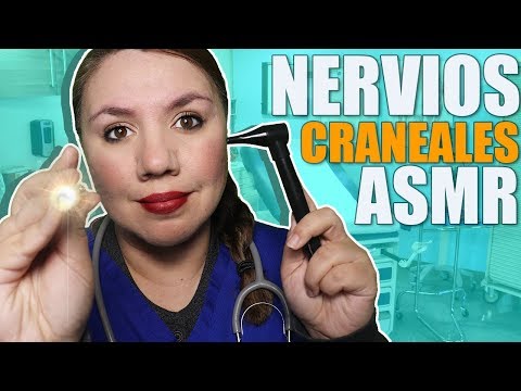 ASMR Español Este Examen de NERVIOS Craneales Te DERRETIRA Cosquillas ASMR / Murmullo Latino