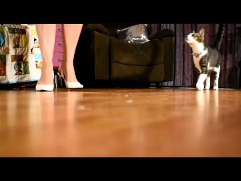 ASMR Experiment: Different Shoes on Wooden Floor - No Talking