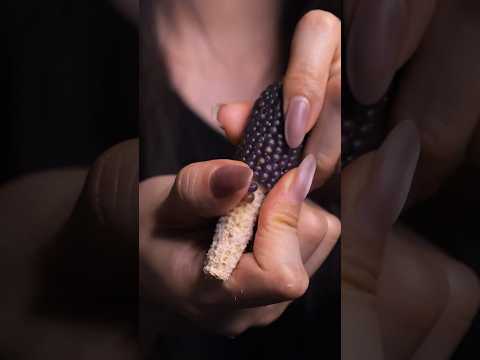 #asmr Satisfying mini corn kernels removal