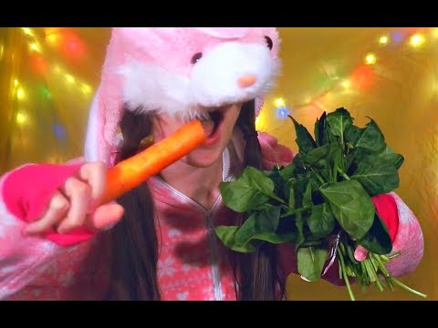 ASMR Easter BUNNY Has a Feast 🐰🥕