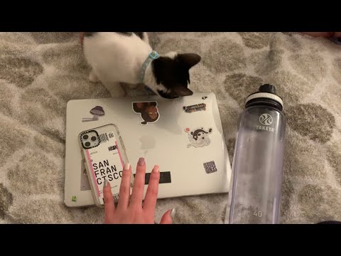 ASMR iPhone, Laptop, and Water Bottle Tapping