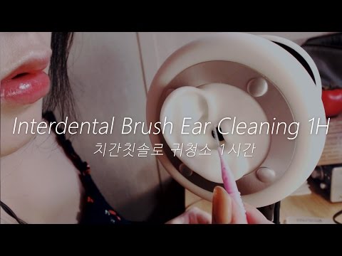 ASMR Interdental Brush Ear Cleaning 1Hour! 치간칫솔로 귀청소! (No Talking)