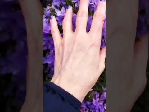 ASMR Feeling Anxious? The color Purple eases tension 💜