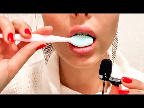 ASMR 💋 Chewing on a brush