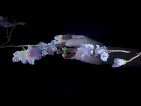 [音フェチ]サクラを触る(両手バージョン)ASMR]Binaural Touching Cherry Blossom with both hands [JAPAN]