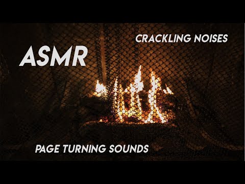 ASMR Reading by the Fire (feat. My Cat)