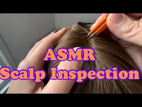 ASMR A (very basic) Scalp Inspection