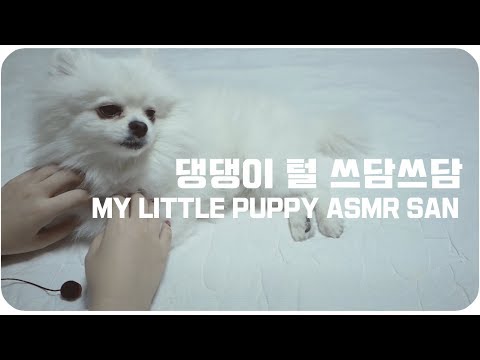 [ASMR] 진짜댕댕이 쓰담쓰담 킁킁사운드  /My Little Puppy ASMR SAN binaural, Brushing 강아지ASMR