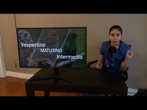 [ ASMR Médico ] ¿Búho, Alondra o Colibrí? Doctora te da una clase sobre Cronotipos