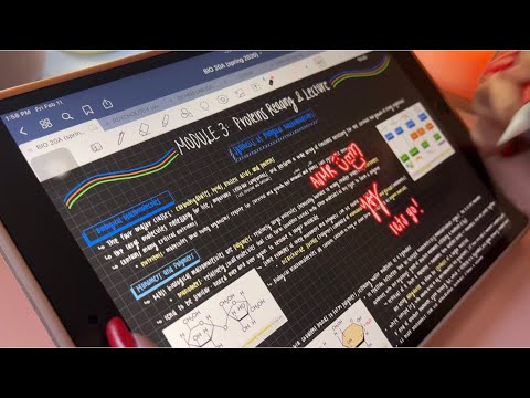ASMR Tracing College Notes (iPad Writing Sounds ^.^)