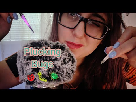 ASMR My FIRST Plucking Bugs From the Mic & Eating Them om nom (asmr bugs plucking mic)
