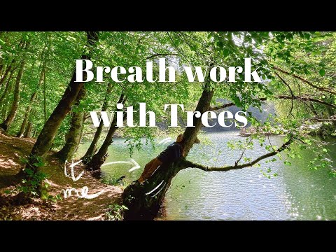 ASMR Meditative Forest Exploration with Breathwork (No talking)