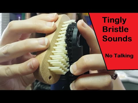 ASMR Tingly Bristle Sounds/Bristle Scratching |Various Stiff Brushes| No Talking, No Mic Scratching