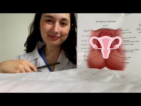 ASMR| Seeing the Gynecologist-Vulva Anatomy Lesson! (Reproductive Anatomy, Soft Spoken)