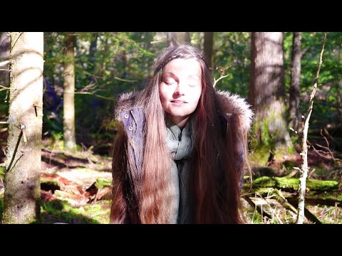 ASMR forest song 🌳