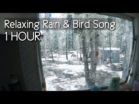 ASMR: 1 Hour Rain Hitting A Caravan Roof & Window 🌧️🏕️ (Nature Sounds for Sleep/Study/Relaxation)